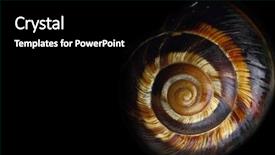  Presentation with spiral heat exchanger - Audience pleasing presentation design consisting of spiral snail shell on black backdrop and a black colored foreground