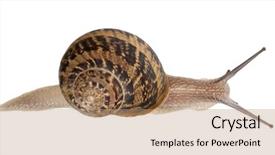  Presentation with snail - Theme featuring smiling businessman in a hurry against road turning into arrow background and a gray colored foreground