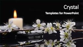  Presentation with cherry blossom - Slide deck featuring spirit - still life with cherry blossom background and a black colored foreground