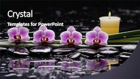  Presentation with tranquil - PPT layouts consisting of spirit mind body - tranquil spa scene-pink orchid background and a black colored foreground