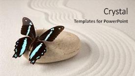  Presentation with zen - Colorful PPT theme enhanced with spiritual circles - zen butterfly backdrop and a lemonade colored foreground