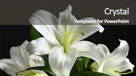  Presentation with black and white religious - PPT theme enhanced with spiritual gifts - beautiful white lilies on black background and a dark gray colored foreground