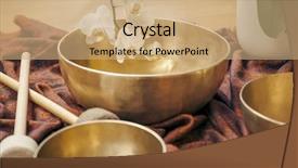  Presentation with orchid - Slide deck consisting of credit check financial banking economy background and a light gray colored foreground