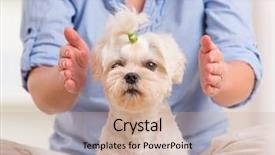  Presentation with reiki - Cool new slide set with spiritual healing - woman doing reiki therapy backdrop and a coral colored foreground