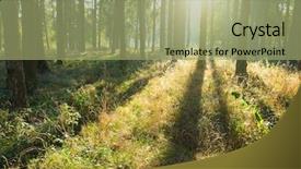  Presentation with green nature - Audience pleasing PPT layouts consisting of spiritual inspiration - forest trees nature green wood backdrop and a mint green colored foreground