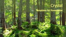  Presentation with green forest morning - Cool new PPT theme with spiritual uplifting - early morning sun backdrop and a tawny brown colored foreground