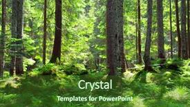  Presentation with green forest morning - Cool new PPT theme with business concept - businessman and businesswoman holding puzzle pieces in office backdrop and a white colored foreground