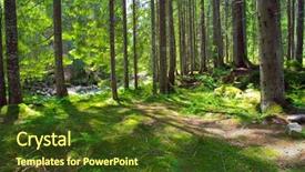  Presentation with green forest morning - PPT layouts with spiritual uplifting - early morning sun background and a  colored foreground