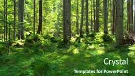  Presentation with green forest morning - Presentation consisting of spiritual uplifting - early morning sun background and a  colored foreground