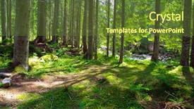  Presentation with green forest morning - Cool new slides with spiritual uplifting - early morning sun backdrop and a  colored foreground