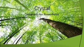  Presentation with green forest morning - PPT layouts featuring spiritual uplifting - early morning sun background and a  colored foreground