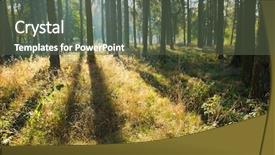  Presentation with green nature - Cool new presentation theme with spiritual uplifting - forest trees nature green wood backdrop and a  colored foreground