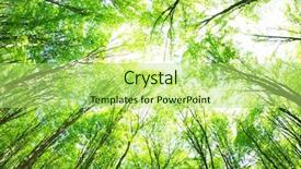  Presentation with mountains forests green forest - Amazing PPT theme having spiritual uplifting - green forest background backdrop and a yellow colored foreground