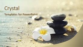  Presentation with plumeria - Presentation theme having spiritual wave - pebbles with plumeria on seashore background and a  colored foreground