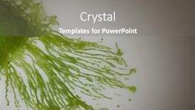  Presentation with electron microscope - Presentation theme consisting of spirulina-algae-electron-microscope-view background and a gray colored foreground