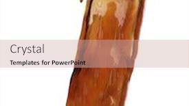  Presentation with splash - Amazing PPT layouts having splash-of-cola backdrop and a coral colored foreground