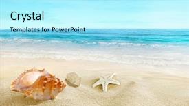  Presentation with sea shells - Slides with splashing waves on the seashore background and a arctic colored foreground