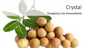  Presentation with fruits - Beautiful PPT theme featuring splen - dimocarpus longan exotic fruits isolated backdrop and a white colored foreground