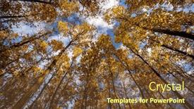  Presentation with fall colors - Slides having splendid-autumn-fall-captured background and a tawny brown colored foreground