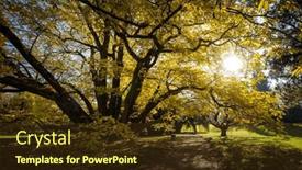  Presentation with fall colors - Presentation design featuring splendid-autumn-fall-captured background and a tawny brown colored foreground