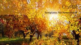  Presentation with earth day - Beautiful slide deck featuring splendid-colorful-leaves backdrop and a gold colored foreground