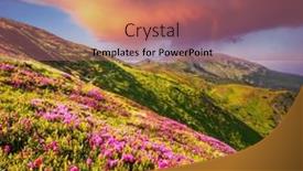  Presentation with ukraine - Theme consisting of splendid-colorful-sunrise-with-fields background and a violet colored foreground