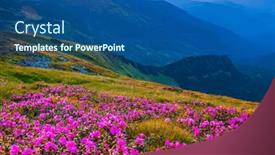  Presentation with ukraine - Presentation theme having splendid-fields-of-blooming-rhododendron background and a ocean colored foreground