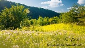  Presentation with green earth - Slides having splendid-green-meadow background and a gold colored foreground
