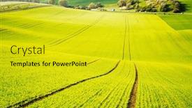  Presentation with agrarian - Presentation enhanced with splendid-hilly-relief background and a gold colored foreground