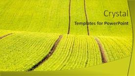  Presentation with agrarian - PPT layouts featuring splendid-hilly-relief background and a gold colored foreground