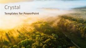  Presentation with light rays - Amazing PPT layouts having splendid-misty-view-of-tree backdrop and a lemonade colored foreground