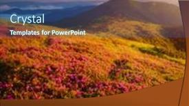  Presentation with nature art - Cool new slide set with splendid-pink-flowers-rhododendrons backdrop and a ocean colored foreground