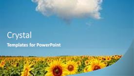  Presentation with agrarian - Cool new presentation with splendid-scene-of-bright-yellow backdrop and a teal colored foreground