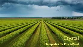  Presentation with currant - Slide set with splendid-scene-of-green-rows background and a  colored foreground