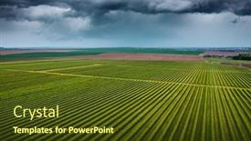  Presentation with currant - Presentation design featuring splendid-scene-of-green-rows background and a tawny brown colored foreground