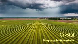  Presentation with currant - PPT theme having splendid-scene-of-green-rows background and a  colored foreground