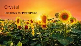  Presentation with earth land - Presentation design consisting of splendid-scene-of-vivid-yellow background and a gold colored foreground