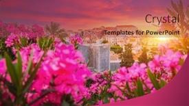  Presentation with dalmatia - Presentation having splendid-view-at-famous-european background and a violet colored foreground