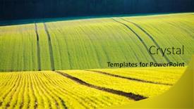  Presentation with agrarian - Amazing PPT theme having splendid-view-on-of-sunlit backdrop and a yellow colored foreground
