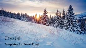  Presentation with snow day - Slide deck enhanced with splendid-winter-spruces-in-snow background and a light blue colored foreground