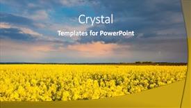  Presentation with agrarian - PPT layouts featuring splendid-yellow-field-of-canola background and a ocean colored foreground
