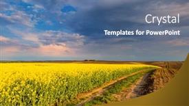  Presentation with agrarian - Presentation theme with splendid-yellow-field-of-canola background and a ocean colored foreground