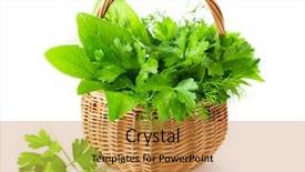  Presentation with teachnology and brain white - Amazing presentation having splice - green herbs in braided basket backdrop and a gold colored foreground