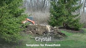  Presentation with tree - PPT theme with splintered-tree-trunk-after-felling background and a ocean colored foreground