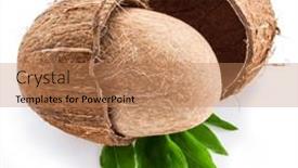  Presentation with coconut fruit - Slide deck featuring split-coconut-fruit-with-whole background and a coral colored foreground