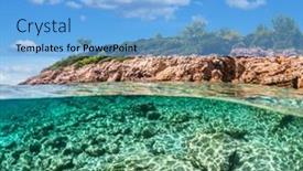  Presentation with pine trees - Theme featuring split-view-half-underwater-view background and a light blue colored foreground