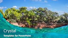  Presentation with pine trees - Presentation design having split-view-half-underwater-view background and a teal colored foreground