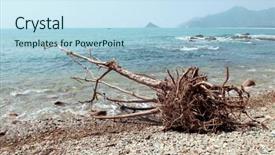  Presentation with teal beach wood - Theme enhanced with spoilage - perished wood on beach background and a  colored foreground