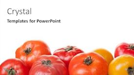  Presentation with fungus - Cool new slides with spoiled-tomato-on-white-background backdrop and a white colored foreground