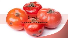  Presentation with fungus - Cool new PPT theme with spoiled-tomato-on-white-background backdrop and a red colored foreground